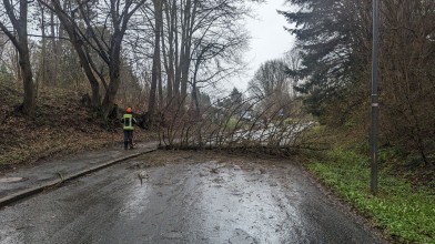 Einsatzfoto PXL_20230330_120822832a.jpg